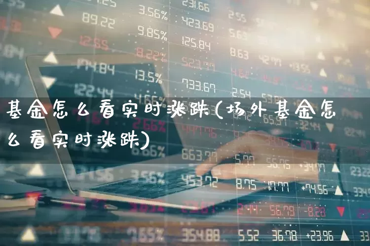基金怎么看实时涨跌(场外基金怎么看实时涨跌)_https://www.heiljjianzu.com_科创板_第1张