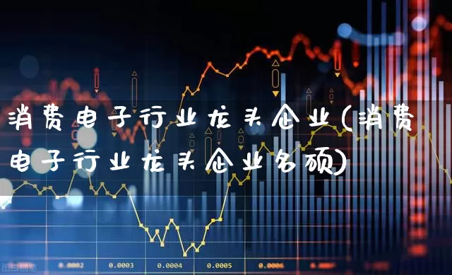 消费电子行业龙头企业(消费电子行业龙头企业名硕)_https://www.heiljjianzu.com_深交所_第1张