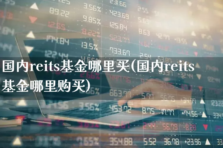国内reits基金哪里买(国内reits基金哪里购买)_https://www.heiljjianzu.com_深交所_第1张
