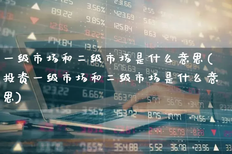 一级市场和二级市场是什么意思(投资一级市场和二级市场是什么意思)_https://www.heiljjianzu.com_北交所_第1张
