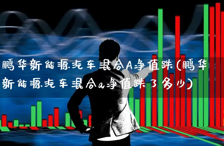 鹏华新能源汽车混合A净值跌(鹏华新能源汽车混合a净值跌了多少)_https://www.heiljjianzu.com_上交所_第1张