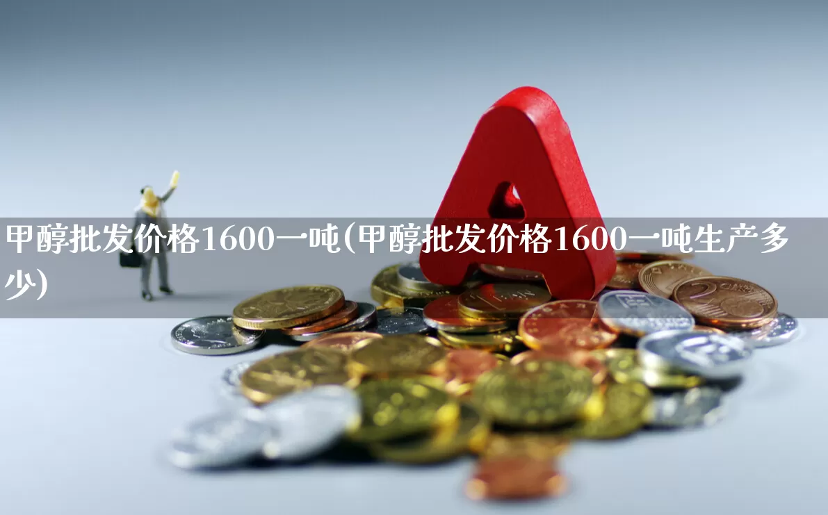 甲醇批发价格1600一吨(甲醇批发价格1600一吨生产多少)_https://www.heiljjianzu.com_上交所_第1张